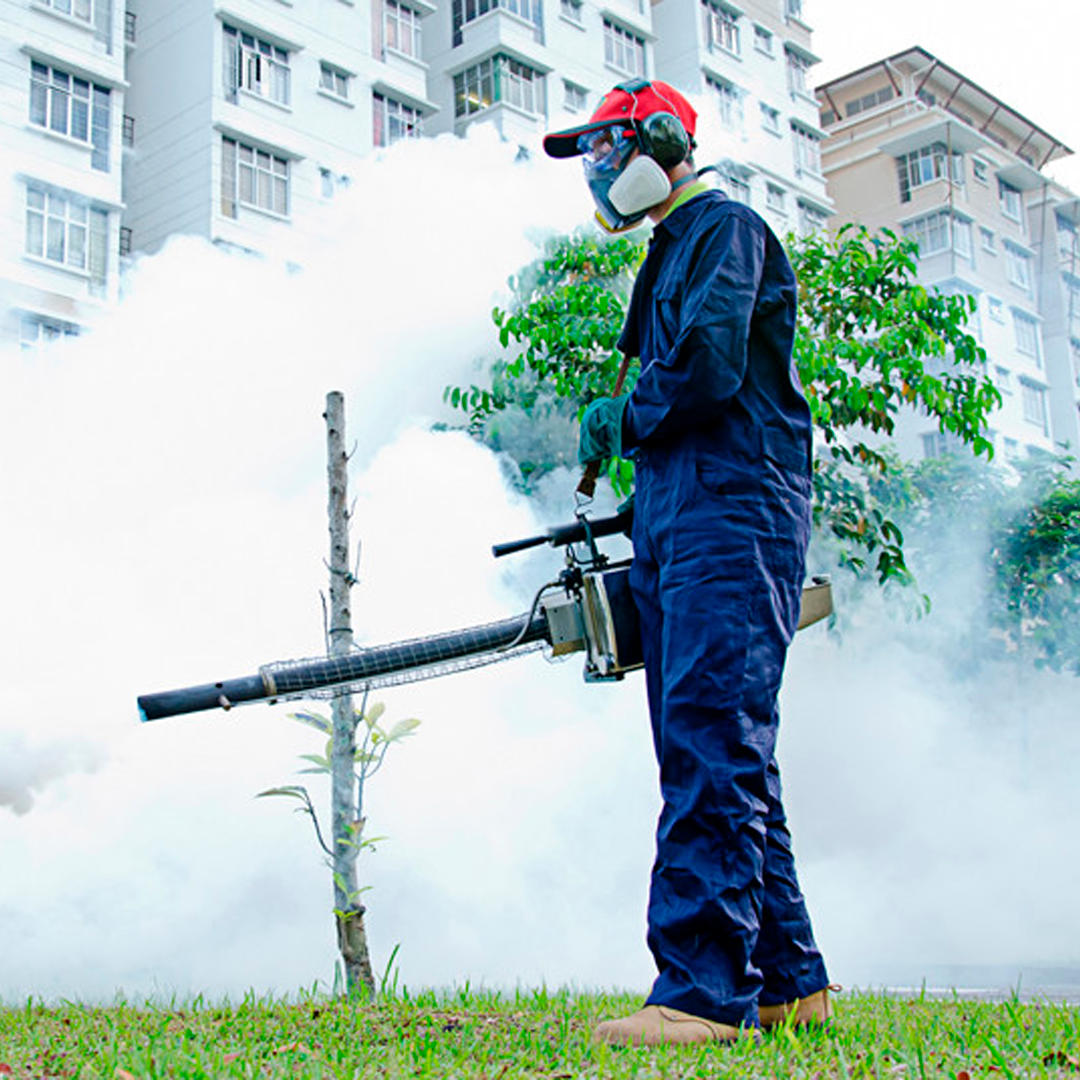 Fumigación profesional en San Juan